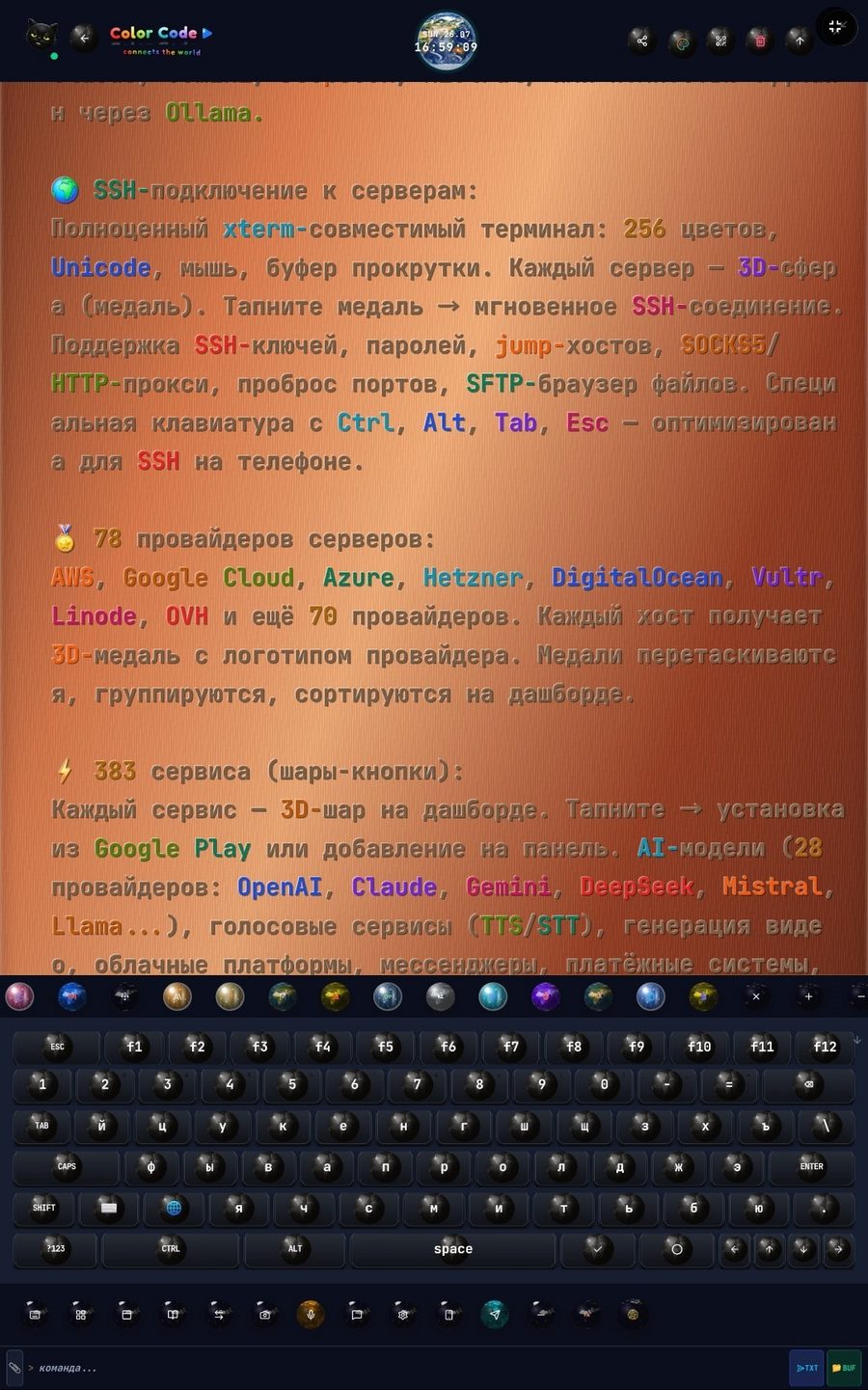 The cat in the terminal
