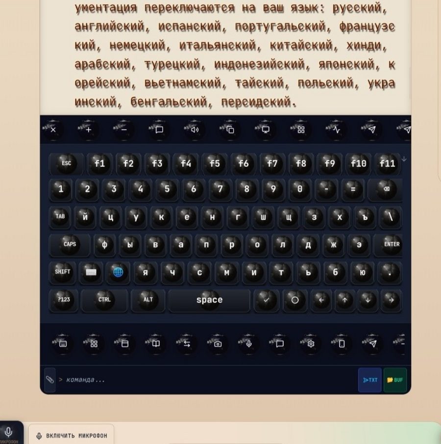 Terminal screen with keyboard and the F1–F12 row